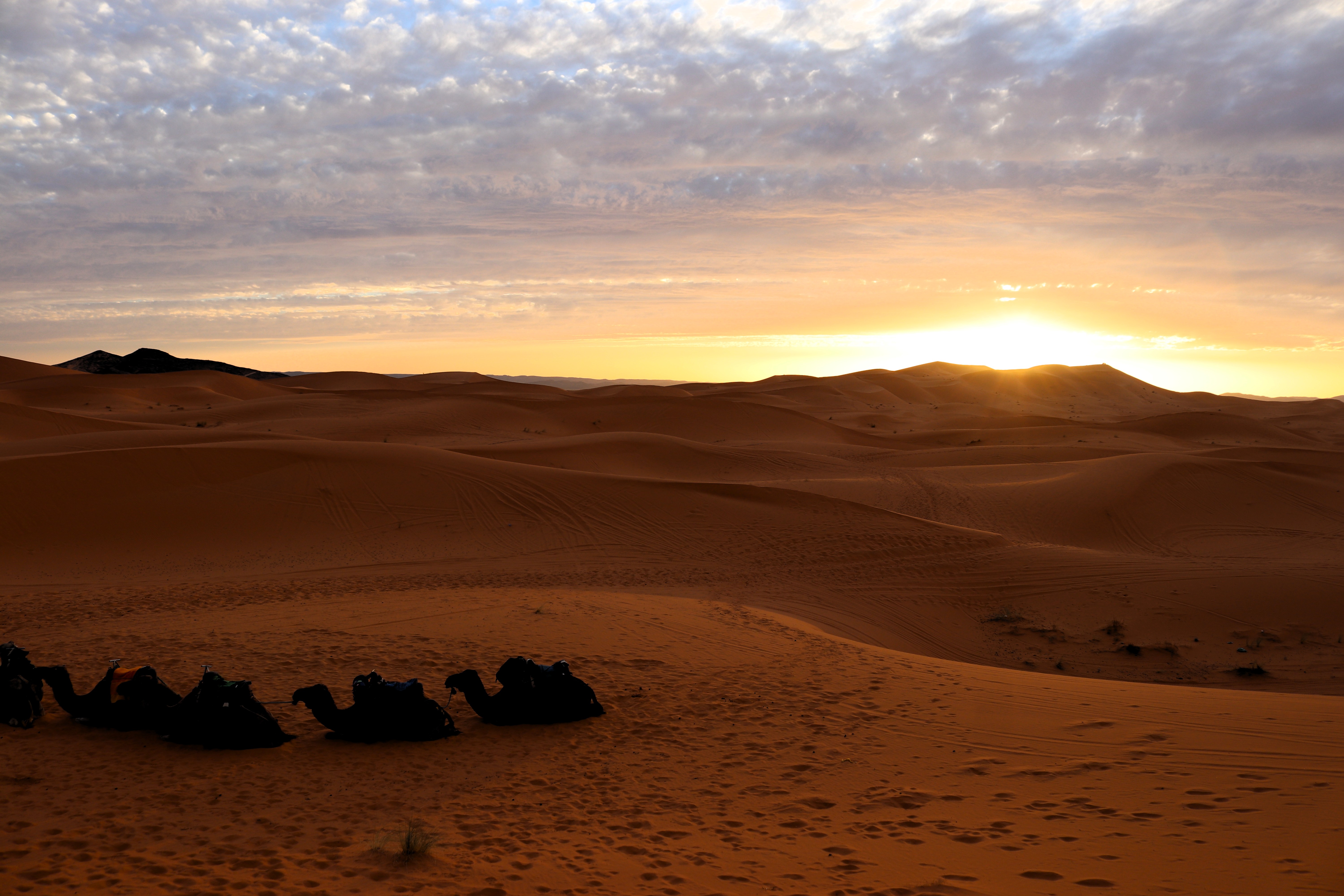 Vista panoramica del deserto del Sahara al tramonto, con dune sabbiose e cammelli seduti in primo piano.