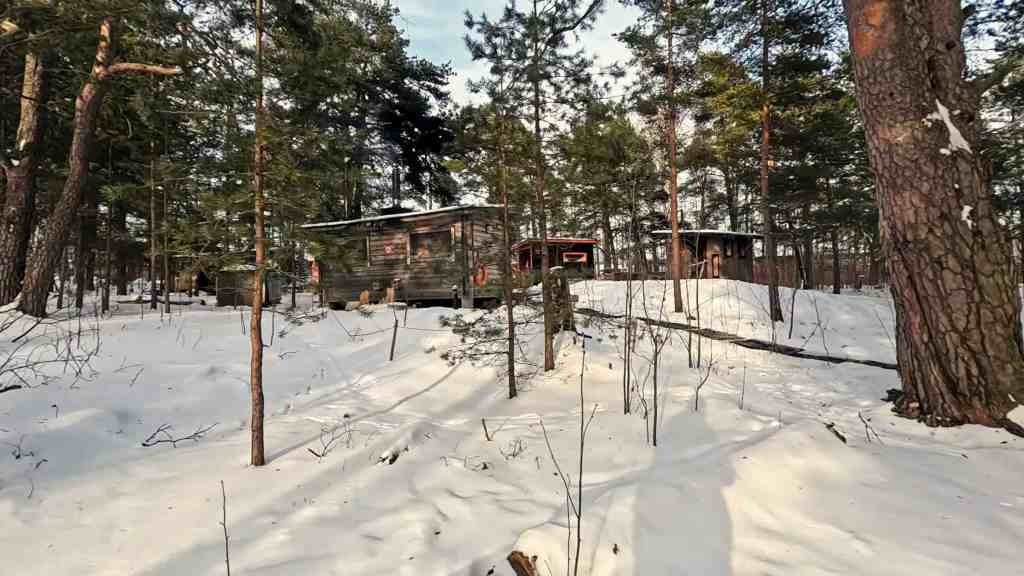 Le casette di legno della Sompasauna tra gli alberi innevati